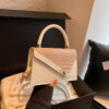 Trendy Color-Block Stone-Pattern Mini Square Bag